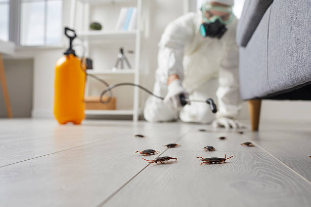 Trusted Termite Control service in Shackle Island, TN - Nex Pest Control