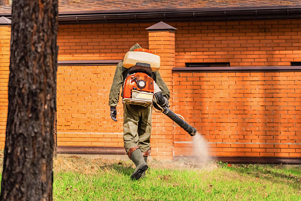 Trusted Cockroach Control service in Shackle Island, TN - Nex Pest Control